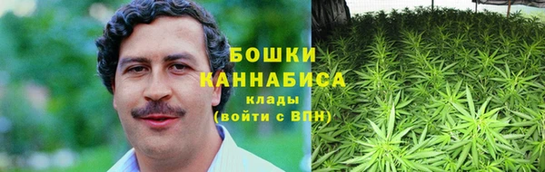 стаф Бердск
