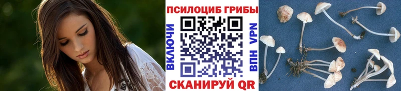 площадка Telegram  где можно купить   Котово  Галлюциногенные грибы Psilocybe 